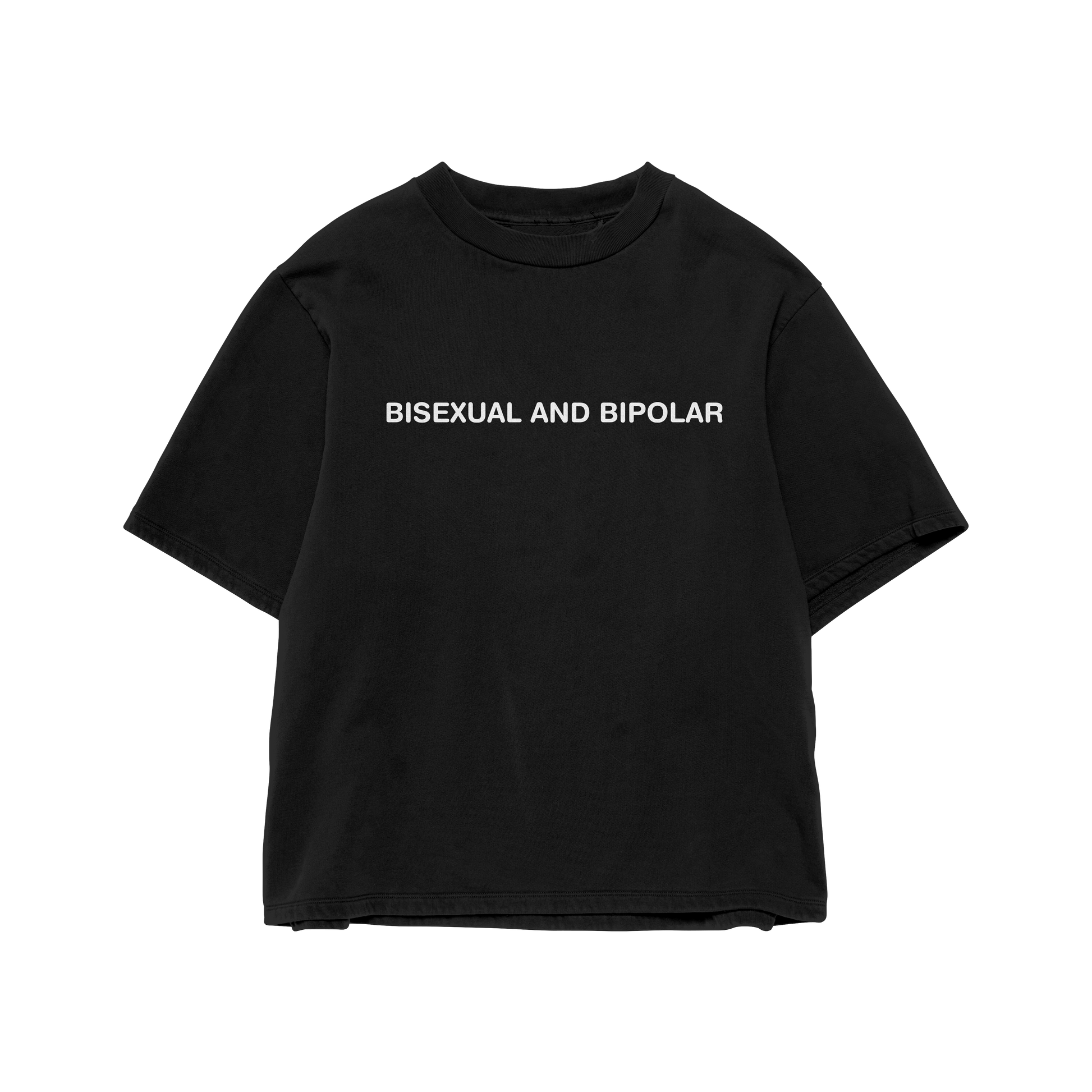 Bisexual & Bipolar Tee Shirt